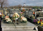 2010_ZEDOWICE_CMENTARZ_002.jpg.jpg