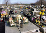 2010_ZEDOWICE_CMENTARZ_020.jpg.jpg