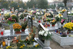 2010_ZEDOWICE_CMENTARZ_021.jpg.jpg