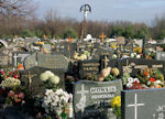 2010_ZEDOWICE_CMENTARZ_023.jpg.jpg