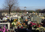 2010_ZEDOWICE_CMENTARZ_025.jpg.jpg